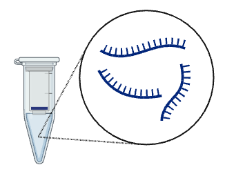 Laboratory pipette with blue volume scale.