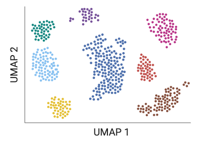UMAP scatter plot of coloured single-cell clusters.